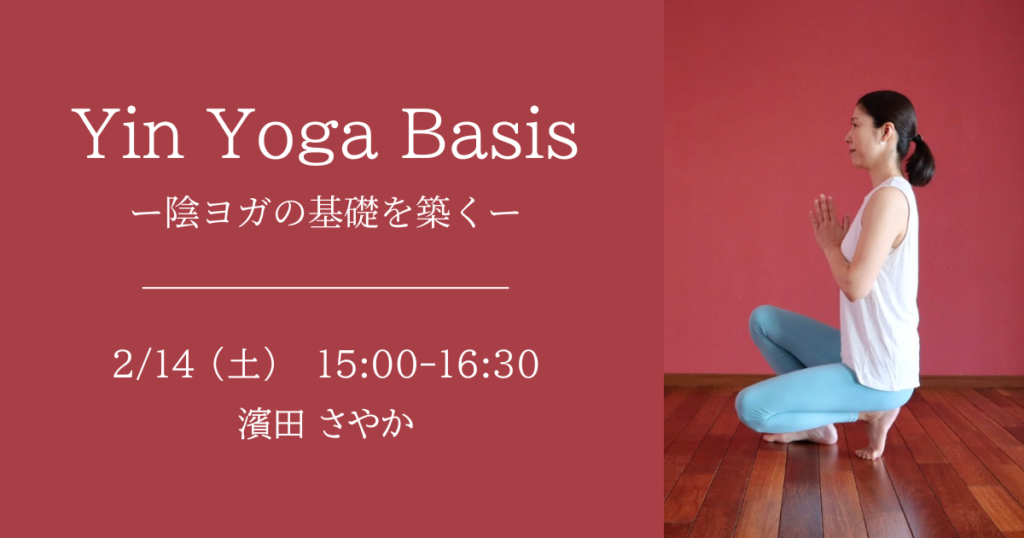 Yin Yoga Basis 〜陰ヨガの基礎を築く〜 - studio SUNDARI